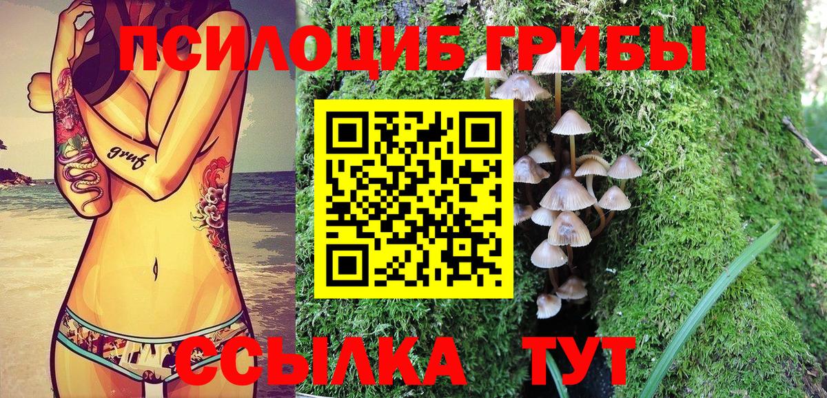 Галлюциногенные грибы Psilocybine cubensis  купить закладку  Удомля  Галлюциногенные грибы GOLDEN TEACHER  Вход с VPN 